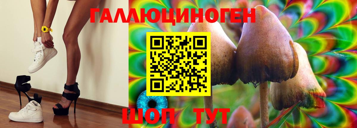 Псилоцибиновые грибы Psilocybe Ульяновск