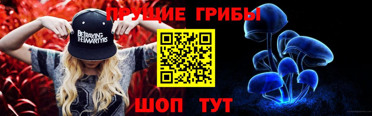 Ульяновск  Псилоцибиновые грибы Psilocybine cubensis  Вход с VPN  Псилоцибиновые грибы GOLDEN TEACHER 